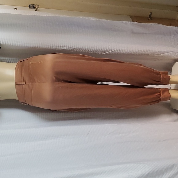 INTERMIX Raleigh 100% Silk Tapered Pants Ankle Zip Tailored Pleated Size 10 - Picture 7 of 14